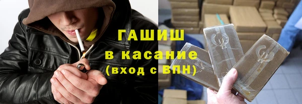стафф Ельня
