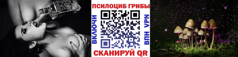 Псилоцибиновые грибы ЛСД  это какой сайт  Шахунья 