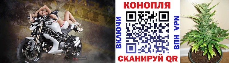закладки  Шахунья  МАРИХУАНА Bruce Banner 
